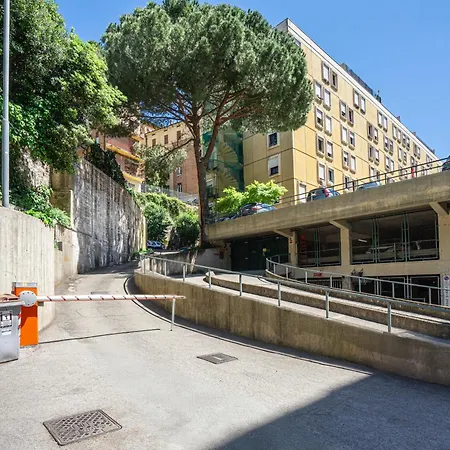 - Steps From Historic Heart Daire